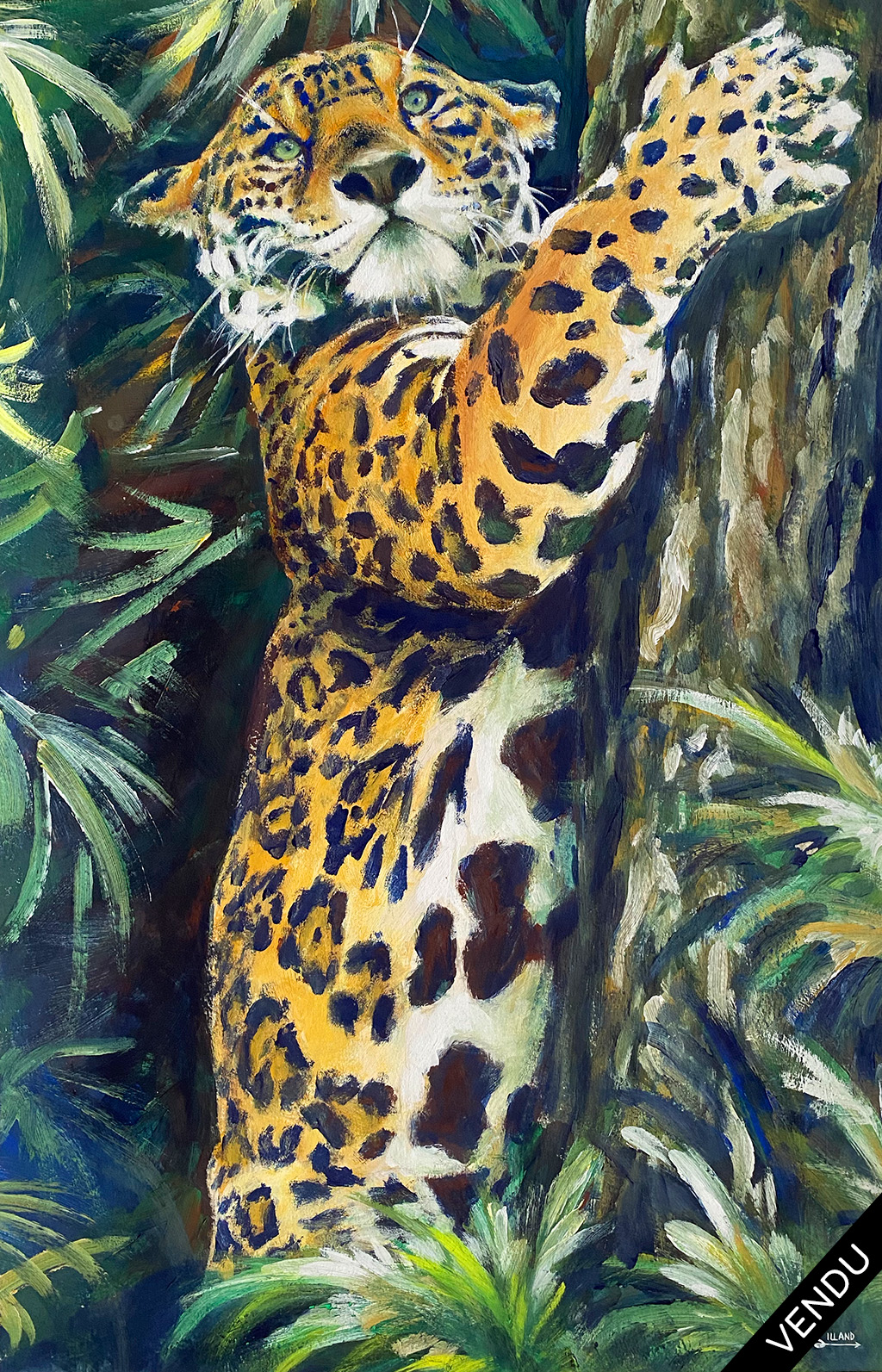 jaguar-a