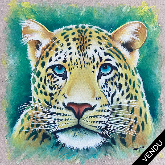 persian leopard-a