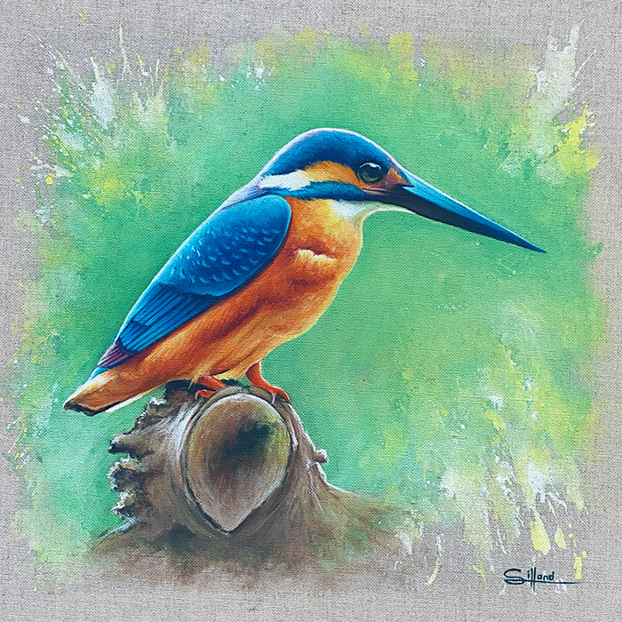 kingfisher-a